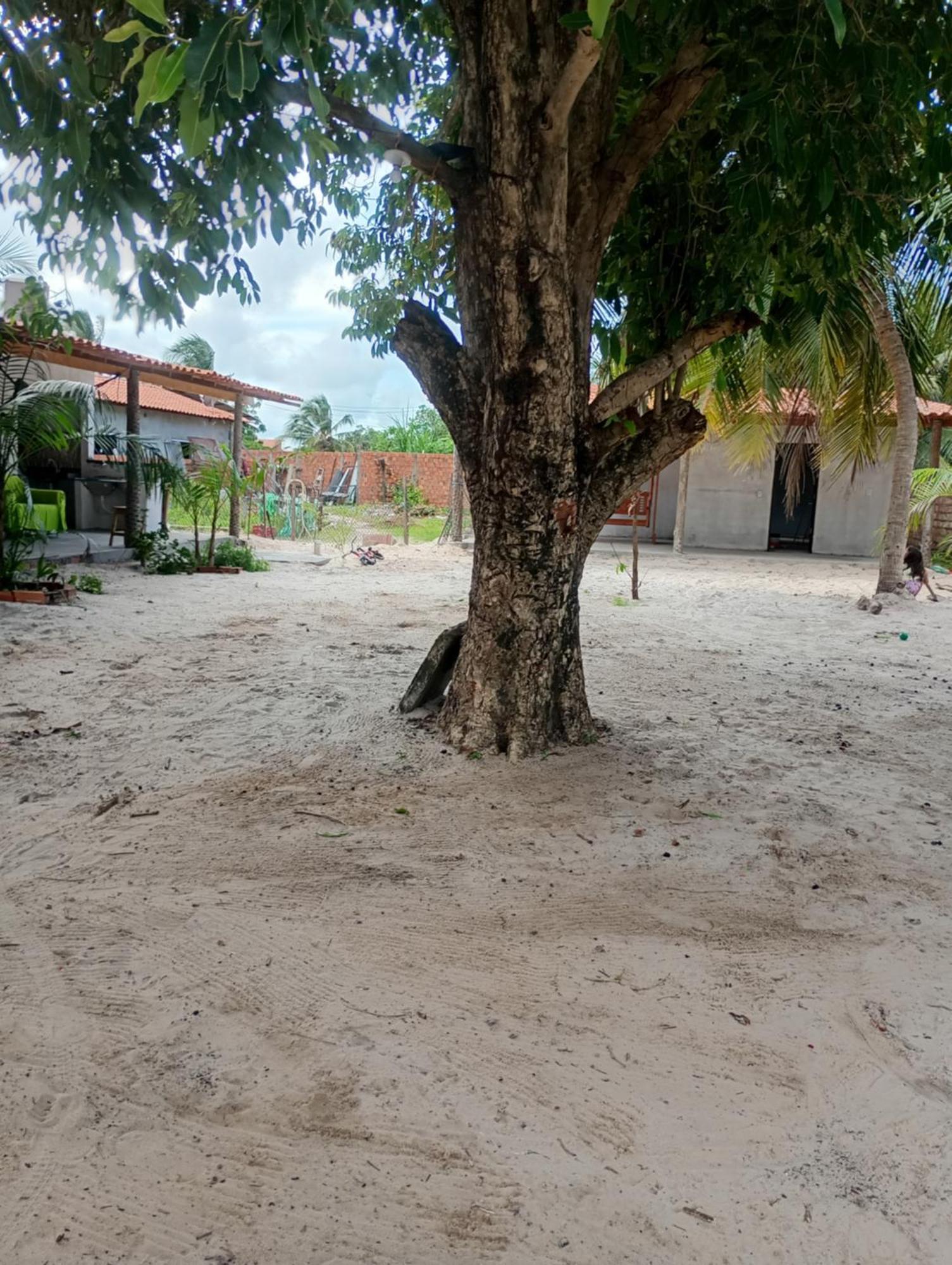 Pousada Shalom E Hostel Holly Land Santo Amaro do Maranhao Buitenkant foto
