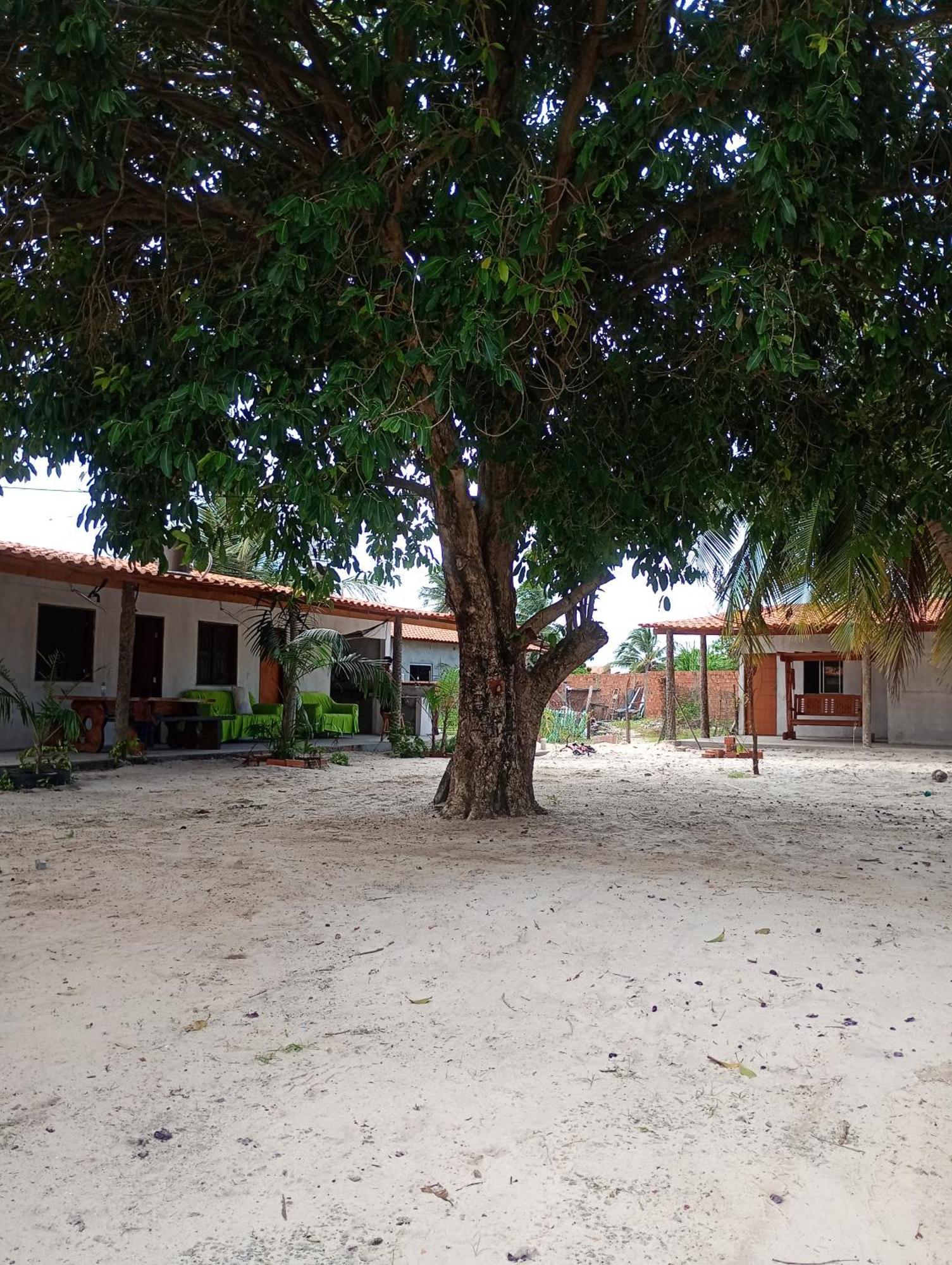 Pousada Shalom E Hostel Holly Land Santo Amaro do Maranhao Buitenkant foto