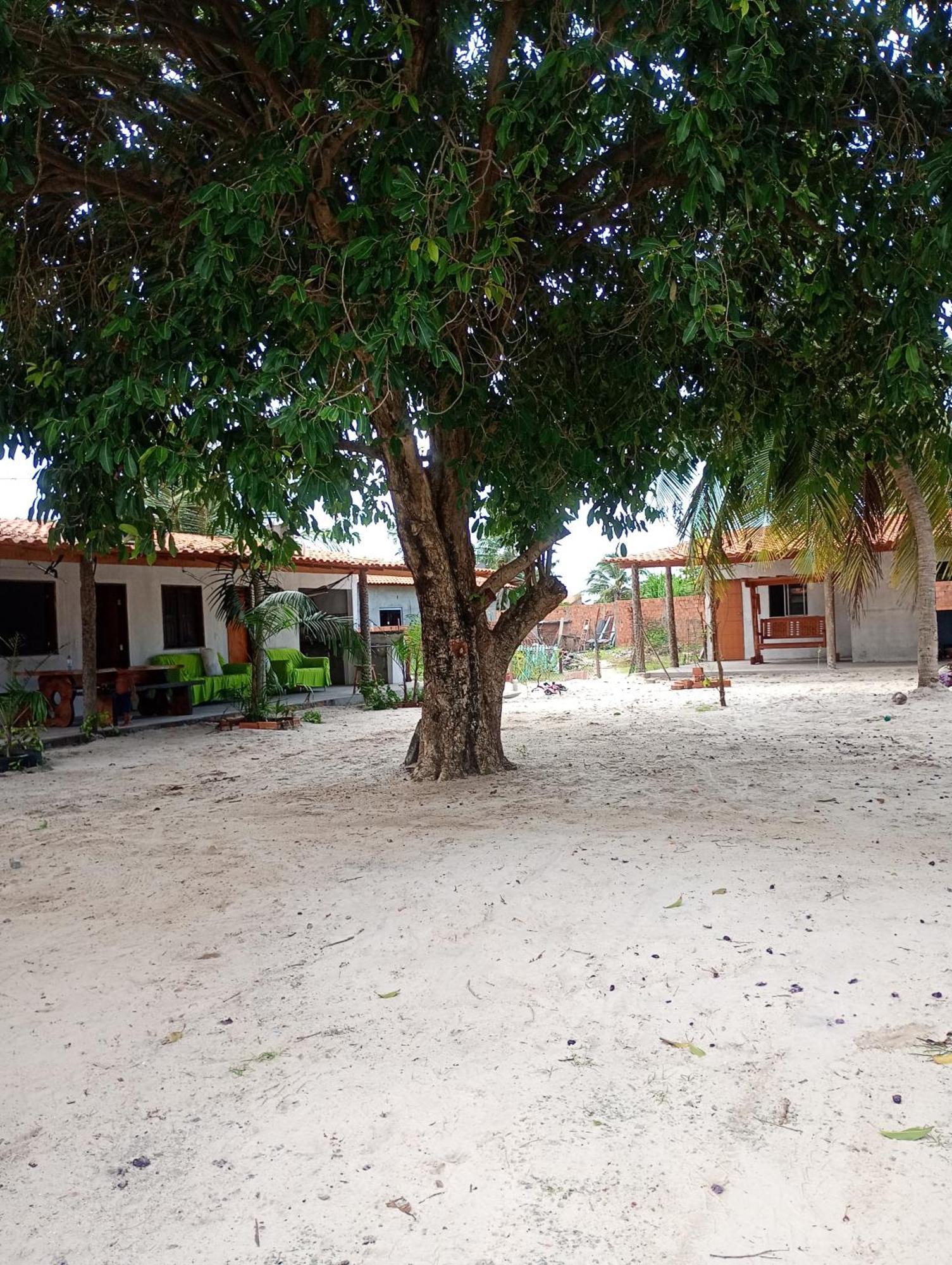 Pousada Shalom E Hostel Holly Land Santo Amaro do Maranhao Buitenkant foto